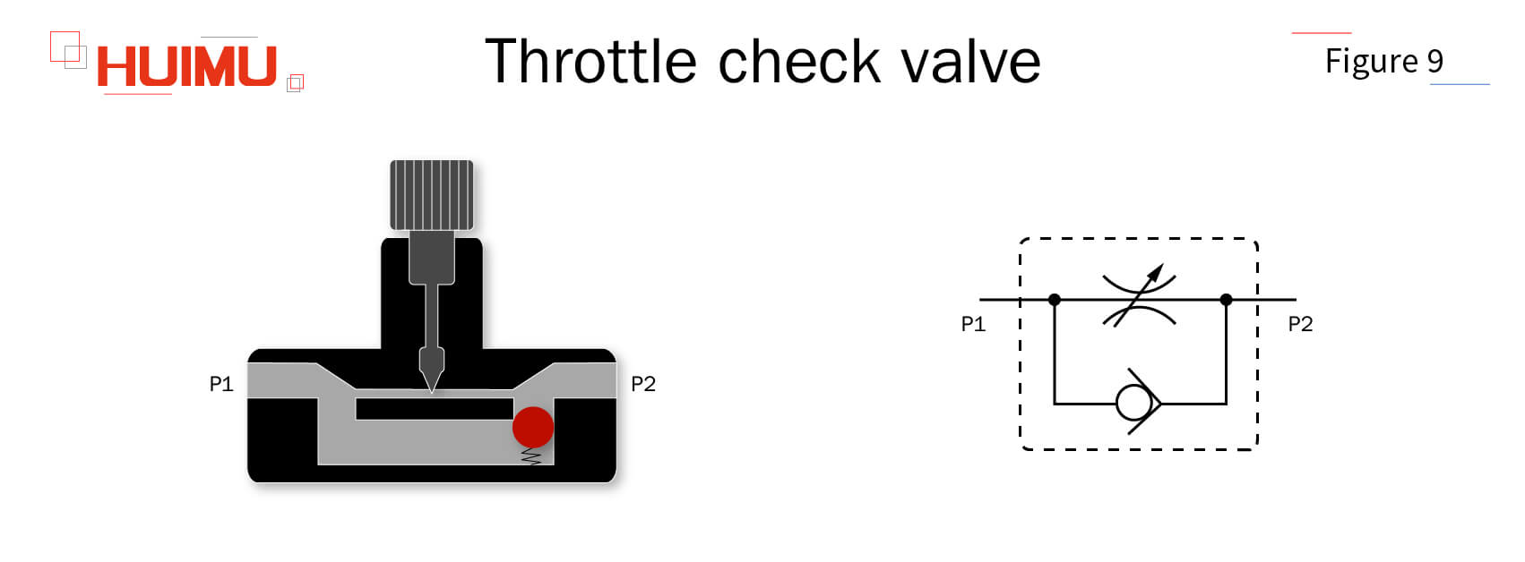 B3P9 Throttle check valve